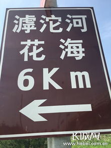 滹沱河畔百花盛開，石家莊市民賞花正當時