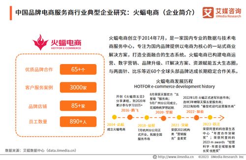 艾媒咨詢 2023年中國品牌電商服務商行業研究報告